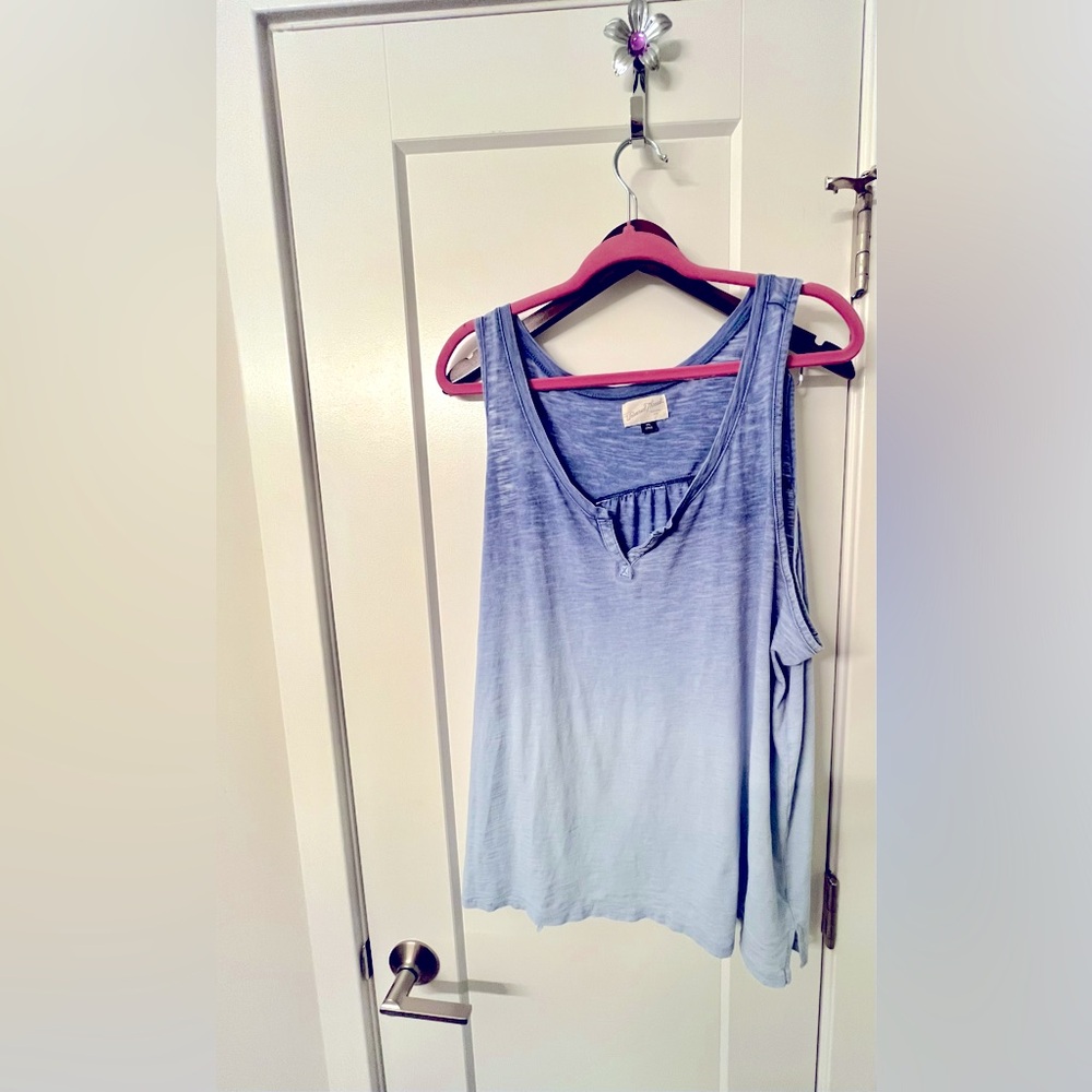 Blue ombre tank